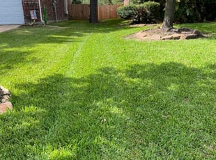 Selah T.'s Yard Cutting service result