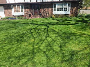 Larry J.'s Lawn Maintenance service result