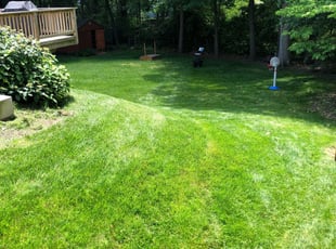 Tori D.'s Lawn Care service result