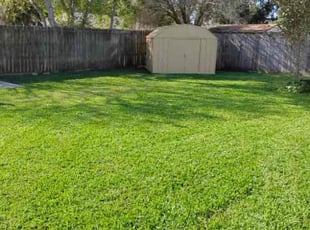 Virginia B.'s Yard Cutting service result