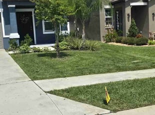 Joe J.'s Lawn Care service result