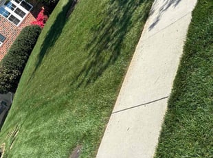 Mary K.'s Lawn Mowing service result