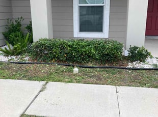 Bush Trimming by Jose Pineda for Bobby R. in Corpus Christi, TX