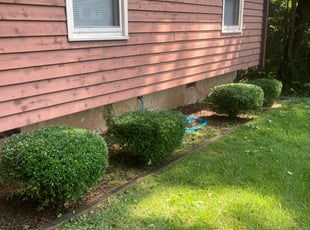 Bush Trimming by DeOntae Hatchett for Vanessa L. in Durham, NC