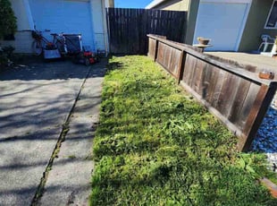 Karen R.'s Lawn Mowing service result