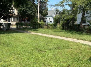 Louise C.'s Lawn Mowing service result