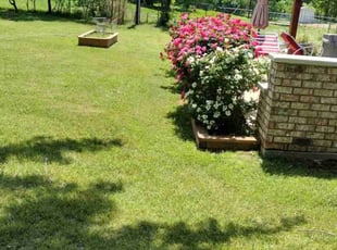 Marci G.'s Grass Cutting service result