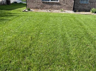 LaTosha G.'s Grass Cutting service result