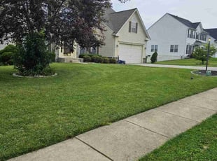 Sharon N.'s Grass Cutting service result