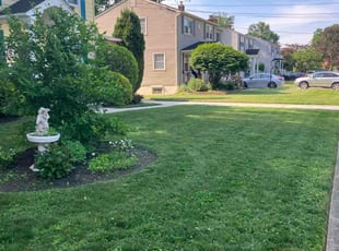 Laina L.'s Lawn Mowing service result