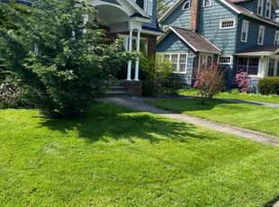 Amy B.'s Lawn Care service result