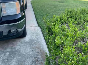 Holly S.'s Lawn Care service result