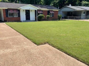 Denise S.'s Lawn Mowing Service service result