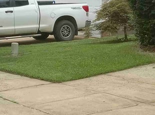 Chris H.'s Lawn Care service result