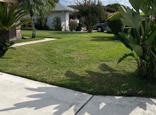 Mona H.'s Lawn Service service result