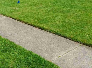 April S.'s Lawn Service service result