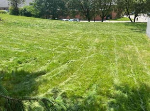 Jonathan S.'s Lawn Care service result