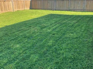 Joseph M.'s Grass Cutting service result
