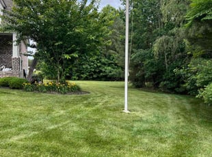 Keith S.'s Lawn Mowing service result