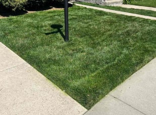 Ardean M.'s Lawn Service service result