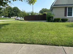 Peter C.'s Lawn Mowing Service service result