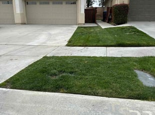 MATTHEW C.'s Lawn Maintenance service result