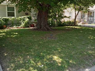 Julie B.'s Grass Cutting service result