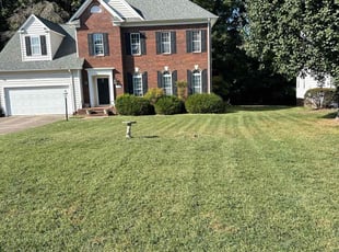 Frank K.'s Lawn Mowing service result