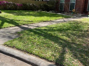 Richard C.'s Lawn Maintenance service result