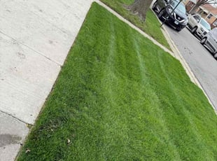 Ileana K.'s Lawn Mowing Service service result
