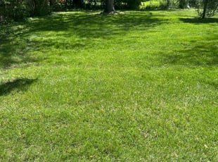 Gregory M.'s Lawn Service service result