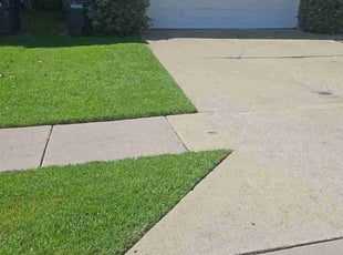 Amelita F.'s Lawn Mowing Service service result
