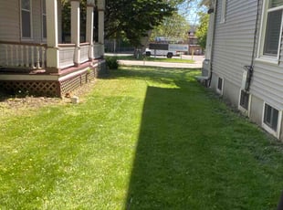 Beatriz H.'s Lawn Care service result