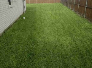 Carlos R.'s Lawn Maintenance service result