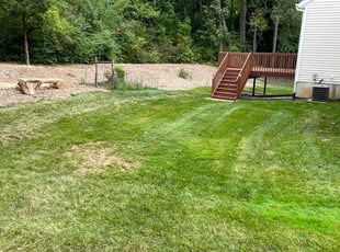 Andy C.'s Lawn Maintenance service result