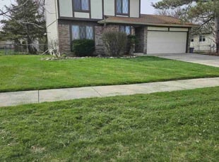 Tiana D.'s Lawn Care service result