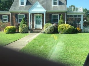 Bush Trimming by Stephen Kundrat for Megan G. in Richmond, VA