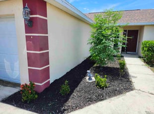 Mulching by Widalbert Ortiz for Jennifer A. in Davenport, FL
