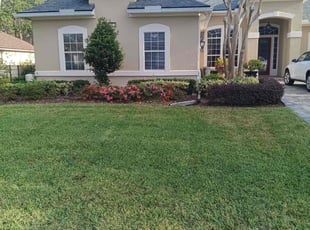 Hernan E.'s Lawn Care service result