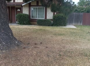 Bush Trimming by Aaron Templeton for Renee P. in Rialto, CA