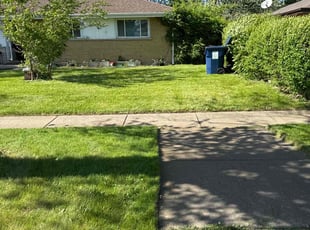 Elsie B.'s Lawn Mowing service result