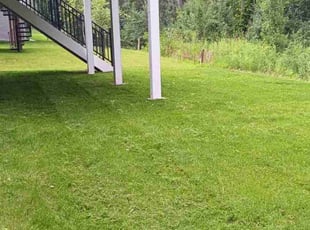 Izell B.'s Lawn Service service result