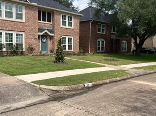 Sasha J.'s Lawn Service service result