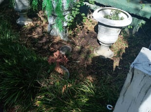 Weeding by Gerald Helmke for Angelle R. in Mandeville, LA