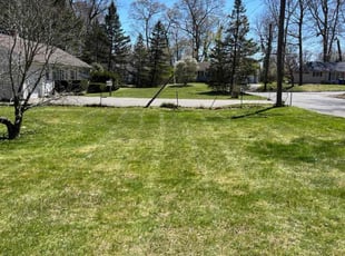 Nik M.'s Yard Cutting service result