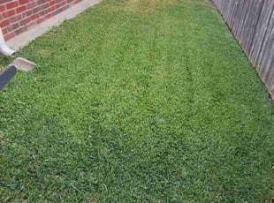 Jesus A.'s Grass Cutting service result