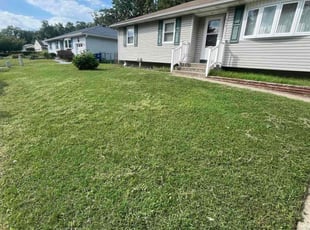Todd J.'s Grass Cutting service result