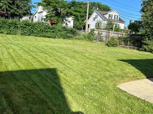 Beth H.'s Grass Cutting service result