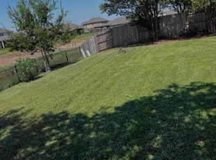 Craig B.'s Lawn Care service result