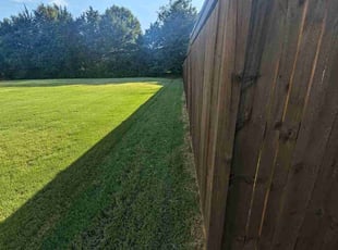 Marli M.'s Lawn Mowing Service service result